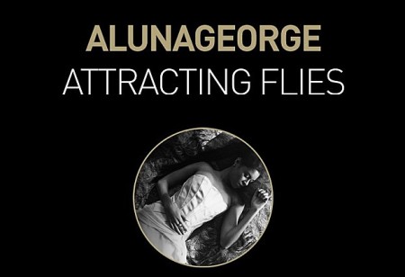 ALUNA-GEORGE-ATTRACTING-FLIES